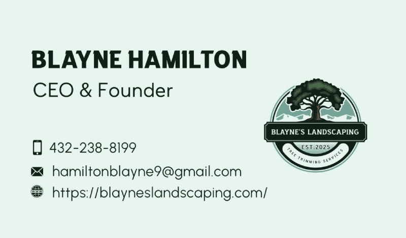 Blayne's Landscaping Business Card