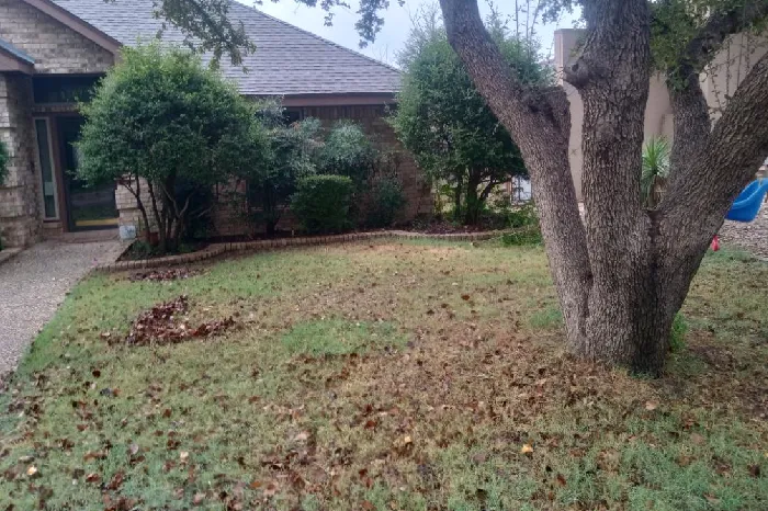 Seasonal Yard Clean-Up