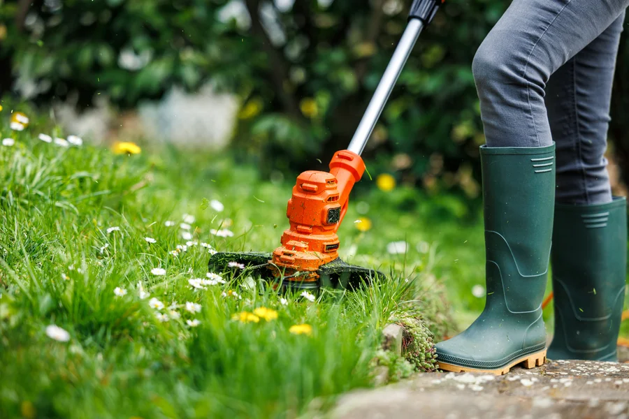 Experienced Lawn Care in Midland, TX Experienced Lawn Care in Midland, TX
