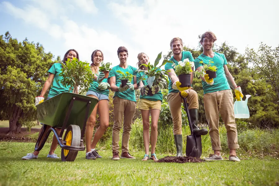 How Tree Planting Improves Your Landscapes Aesthetic Appeal in Midland, TX