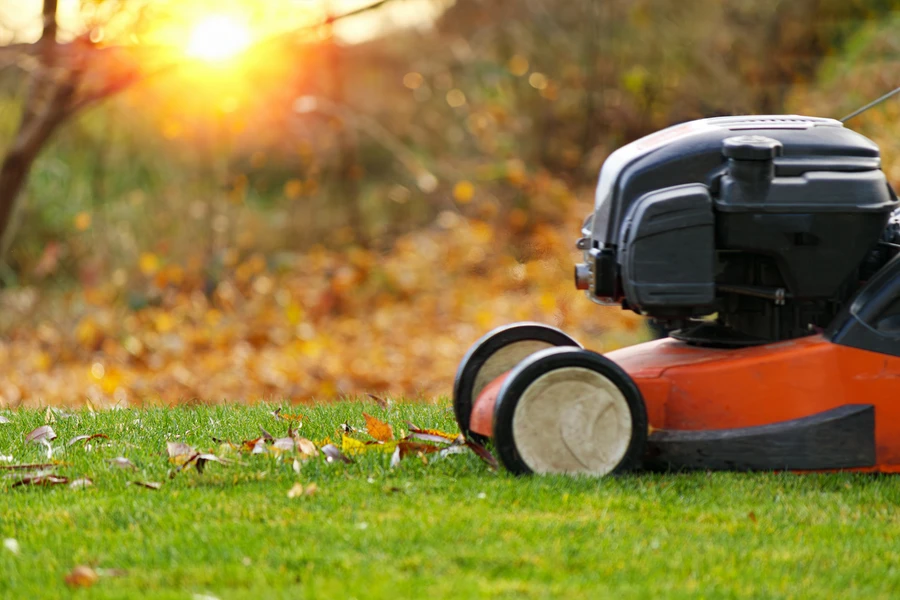 Lawn Care Tools Every Professional Landscaper Needs in Midland, TX