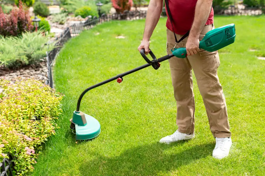 Local Lawn Care in Midland, TX Local Lawn Care in Midland, TX