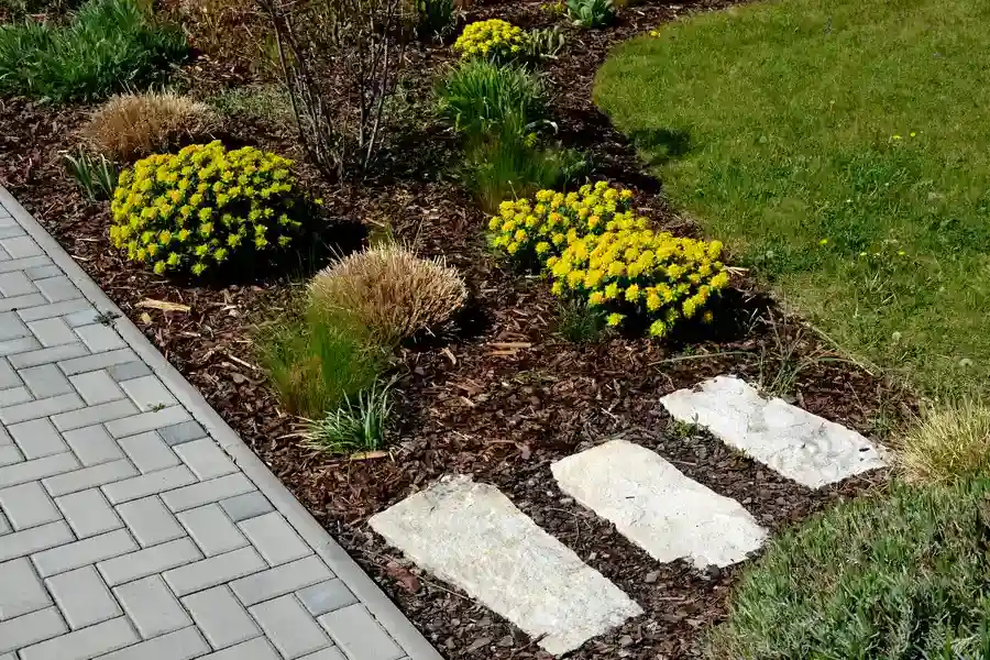Mulching Techniques That Improve Landscape Longevity in Midland, TX
