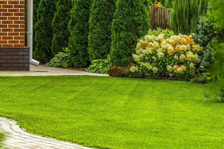 Reliable Lawn Care in Midland, TX Reliable Lawn Care in Midland, TX