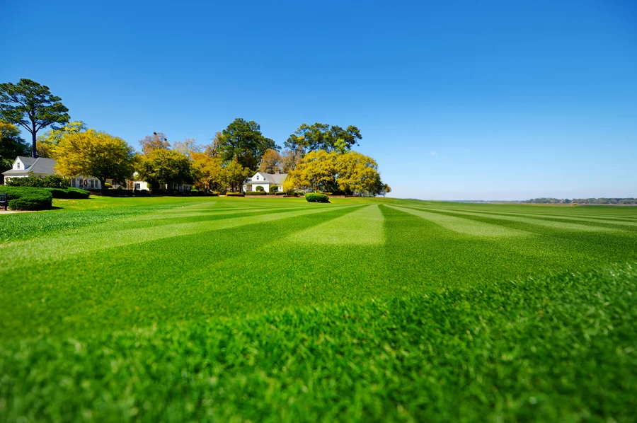 The Future Of Smart Tech In Lawn Care And Landscaping in Midland, TX